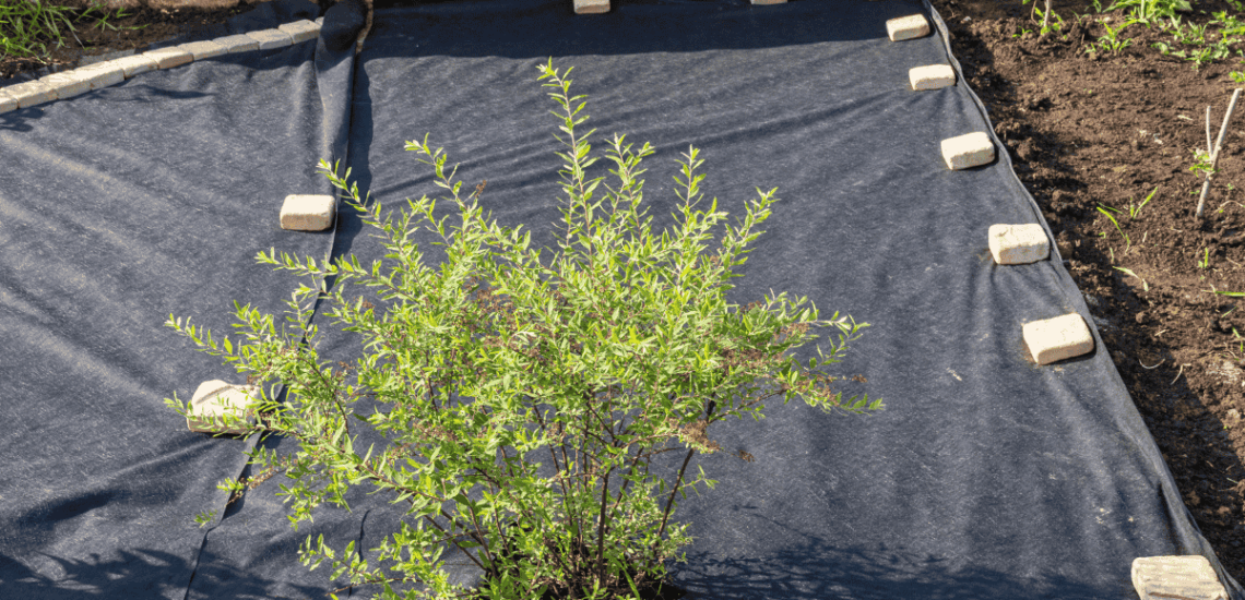 geotextile