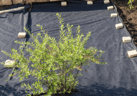 geotextile
