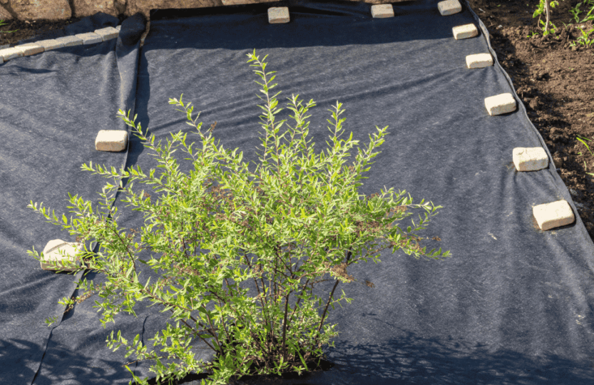 geotextile